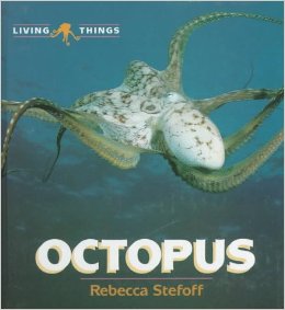octops